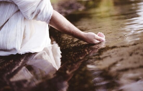 Stable Roots Limitless Growth the Power of Living in Grace