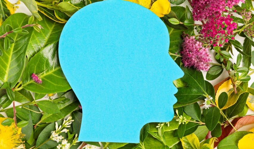 Will Power Is Great A Structured System Is Even Better